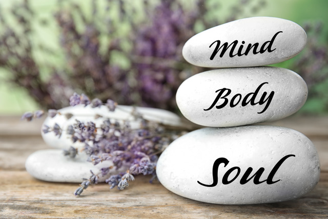 Mind Body Soul