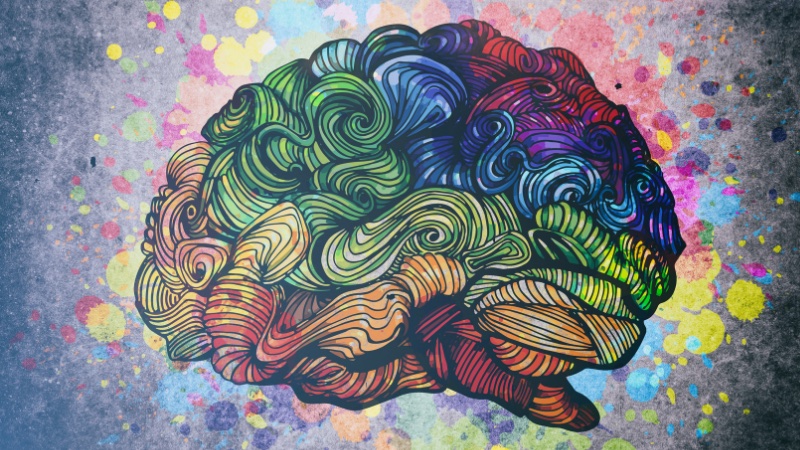 Rewiring Mind and Brain